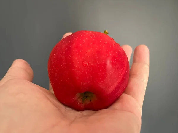 Red Ripe Apple Hand — Zdjęcie stockowe
