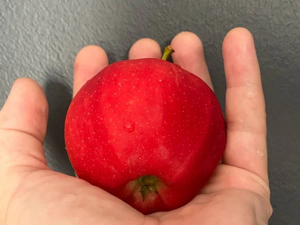 Red Ripe Apple Hand — Foto de Stock