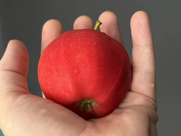 Red Ripe Apple Hand — Foto de Stock