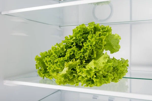 Ein Bund Frischer Grüner Salat Glasregal Kühlschrank — Stockfoto
