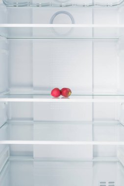 İki kırmızı turp açık bir buzdolabında rafta yatıyor.