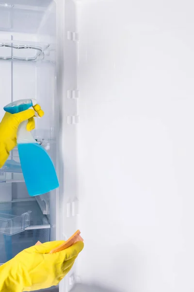 Buzdolabının Dezenfeksiyonu Özel Deterjan Temizleme Servisi — Stok fotoğraf