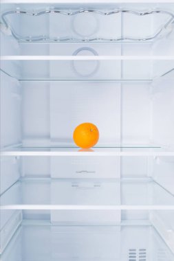 Beyaz bir buzdolabının arka planında, bir portakal cam bir rafta yatıyor.