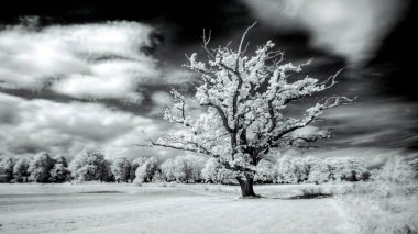 Kopenhag dışındaki alanların kızılötesi görüntüsü
