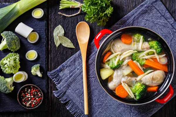 Chicken Spring Soup Broccoli Carrots Parsnip Leek Pasta Red Pot — Stok Foto