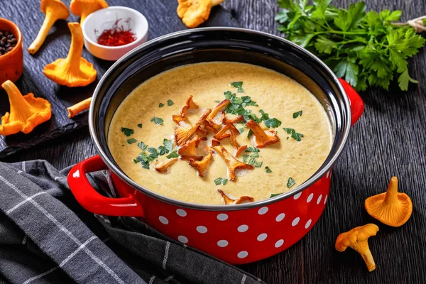 Chanterelle Cream Soup Red Pot Dark Wooden Table Fresh Chanterelle — Stock Fotó