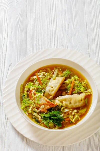 Asian Potsticker Gyoza Soup Dumpling Ground Chicken Napa Cabbage Ginger — Stok Foto
