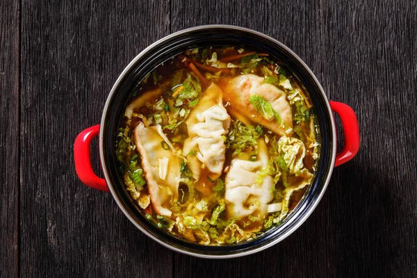 Asian Potsticker Gyoza Soup Dumpling Ground Chicken Napa Cabbage Green — Stok Foto