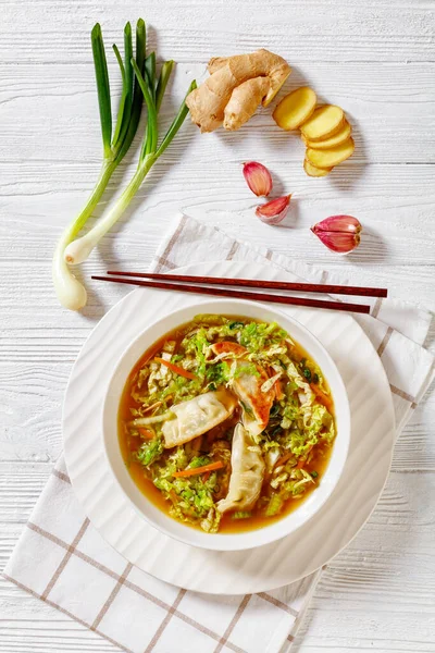 Asian Potsticker Gyoza Soup Dumpling Ground Chicken Napa Cabbage Scallions — Stock Photo, Image