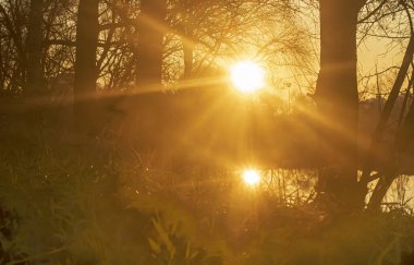 Güneşin ışığı.
