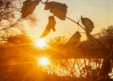 Güneşin ışığı.