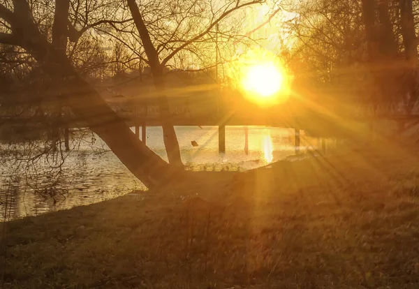 Sunlight Sun — Stock Photo, Image