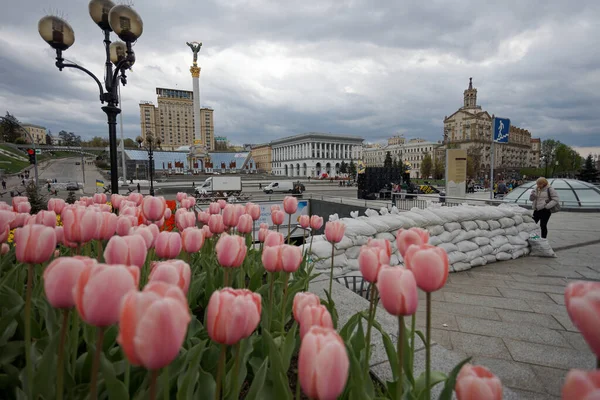 Rusya 'nın Ukrayna savaşı sırasında Kyiv' deki Meydan Nezalezhnosti 'de savunma kum torbası duvarının arka planında 30 Nisan 2022 Lale çiçekleri