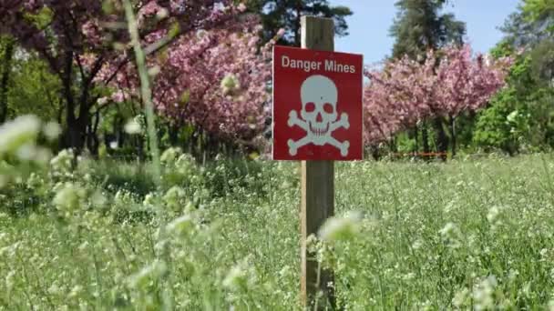 Plate Skull Crossbones Inscription Danger Mines Backdrop Cherry Blossoms — Stock video