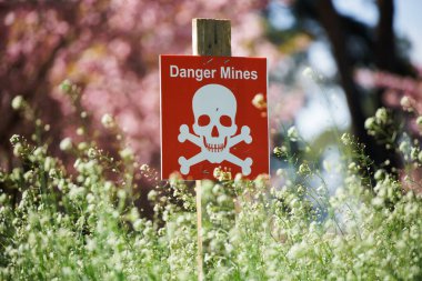 Kafatası ve çapraz kemikli bir tabak ve kiraz çiçeklerinin arka planına karşı Tehlike Madenleri yazılıydı.