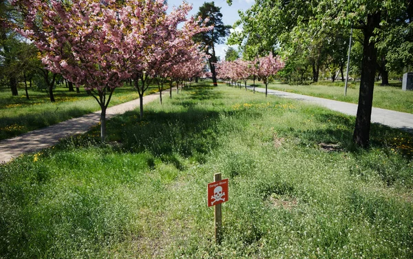 A plate with a skull and crossbones and the inscription Danger Mines against the backdrop of cherry blossoms
