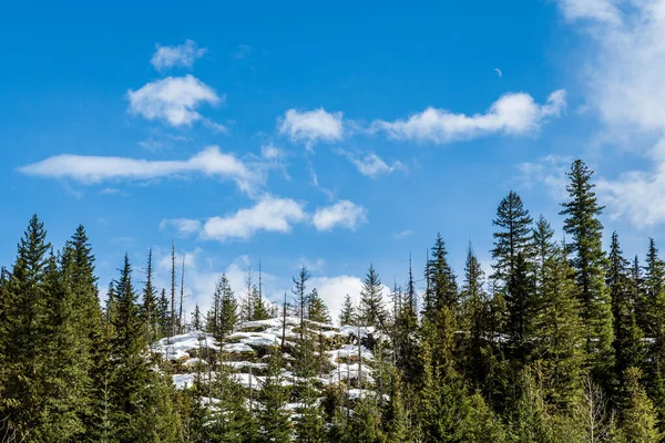 Floresta verde na montanha com céu azul e nuvens brancas paisagem — Fotografia de Stock