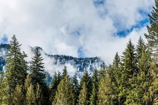 Belas montanhas de nevoeiro na paisagem de névoa com floresta em colúmbia britânica em primeiro plano canadá — Fotografia de Stock
