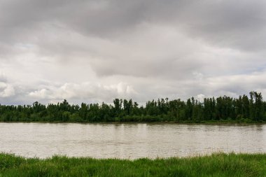 Bulutlu bir günde yeşil çimlerle kaplı İngiliz Kolombiya 'sındaki Fraser nehrinin manzara manzarası.