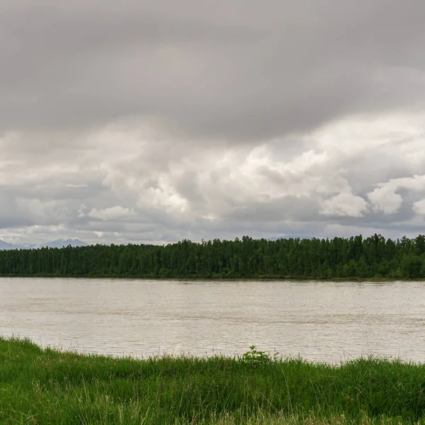 Landscape View Fraser River British Columbia Green Grass Cloudy Day — Stock Photo, Image