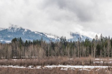 Erken bahar manzarası bir tarla bulutlu bir gün ve dağlar uzak..