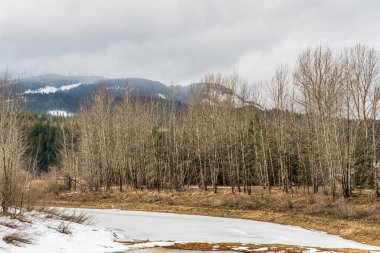 Erken bahar manzarası bir tarla bulutlu bir gün ve dağlar uzak..