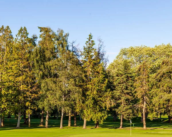 Schöner Grüner Park Mit Feld Und Bäumen Und Blauem Himmel — Stockfoto