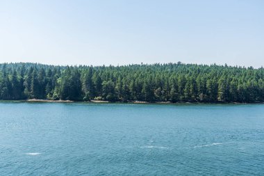 Gürcistan 'ın yeşil ormanlık, yüksek ağaçlı dar kıyıları mavi gökyüzü yaz manzarası boğazı