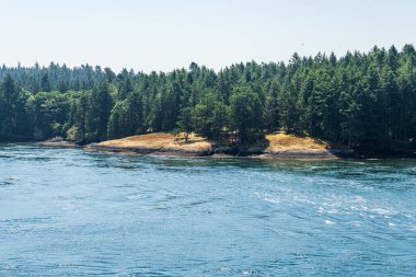 Vancouver ve Victoria arasında Gürcistan Boğazı 'ndaki küçük adalar.