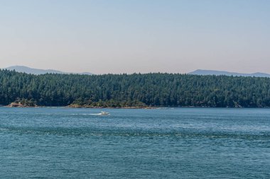 Vancouver ve Victoria arasında Gürcistan Boğazı 'ndaki küçük adalar.