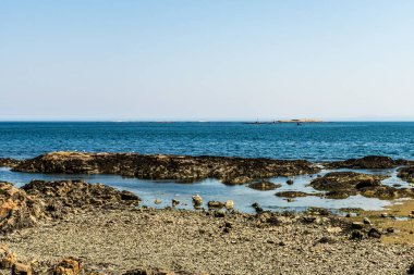 Victoria Britanya Kolumbiyası kıyılarından Gürcistan 'ın açık mavi gökyüzüne güzel bir manzara.