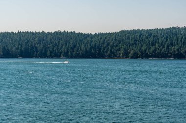 Vancouver ve Victoria arasında Gürcistan Boğazı 'ndaki küçük adalar.