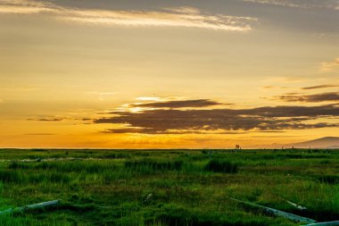 Sturgeon Banks Doğal Alanı Bulutlarla harika bir gün batımı zamanı.