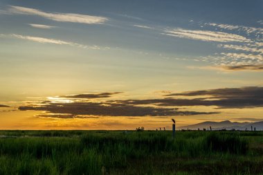 Sturgeon Banks Doğal Alanı Bulutlarla harika bir gün batımı zamanı.