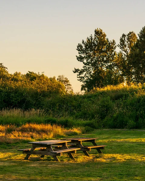 Picnic table on a green meadow in the park at sunset summer time — Stockfoto