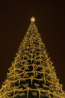 Noel 'in dışında ve yeni yıl ağacında. Kışın gece partisinde altın renkli süslemeleri var.