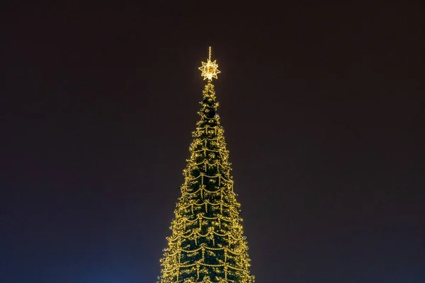 겨울 파티에 황금빛 장식을 하고 있는 거대 한 크리스마스와 신년 나무 — 스톡 사진