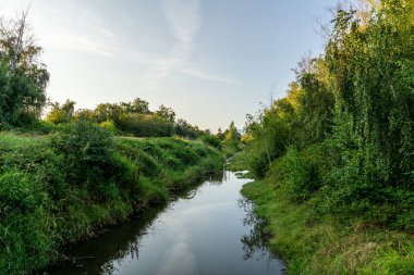 Richmond şehrinde yağmur suyu kanalları park alanı olarak kullanılıyor..