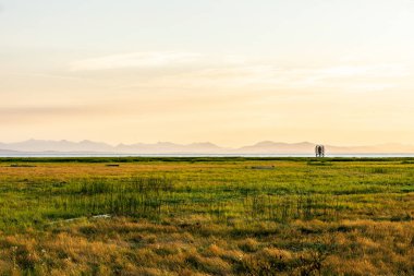 Sturgeon Banks Doğal Arazi Günbatımı Yaz akşamları.