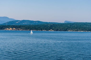 VANCOUVER, Kanada - 29 Haziran 2021: Gürcistan Boğazı, sudaki yeşil orman feribotuyla kaplı adalar kıyısı.