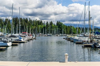 VANCOUVER, Kanada - 15 Mayıs 2020: Harbour Green Park Kanada