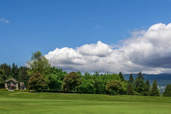 Sonnige grüne Wiese mit Bäumen im Hintergrund und blauem Himmel — Stockfoto