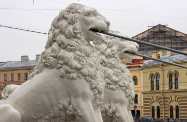 Saint Petersburg, Rusya 'da Lions Köprüsü