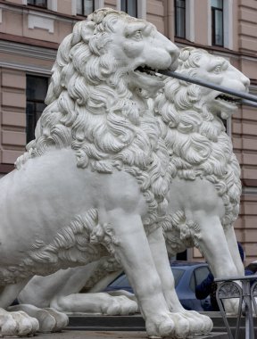 Saint Petersburg, Rusya 'da Lions Köprüsü