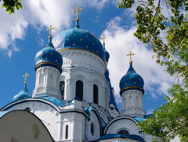 Gatchina Daki Pokrovsky Katedrali Nin Mavi Kubbesi Leningrad Bölgesi Rusya — Stok fotoğraf