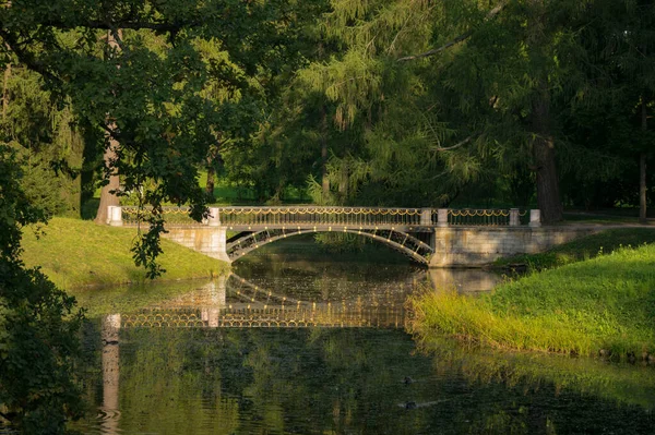 Ponte Dorato Nel Parco Catherine Pushkin Zarskoye Selo Russia — Foto Stock