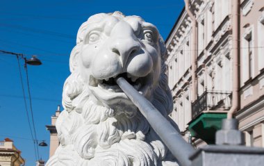 Aslan heykeli Griboyedov Kanalı üzerindeki köprüde, St Petersburg, Rusya