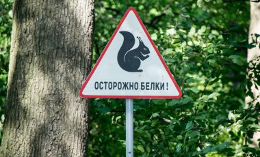 Parktaki tabela. Rusça yazıt: Dikkat, sincaplar!