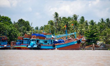 Mekong Deltası, Vietnam - 26 Nisan 2018: