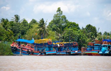 Mekong Deltası, Vietnam - 26 Nisan 2018: